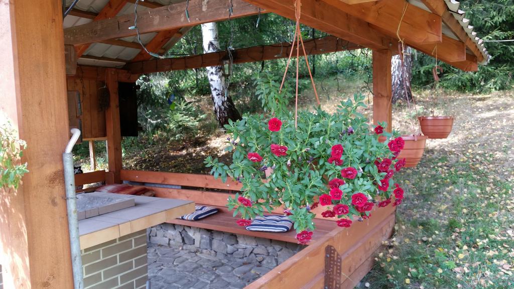 Pokoje Na Skalicy Ustron Dış mekan fotoğraf