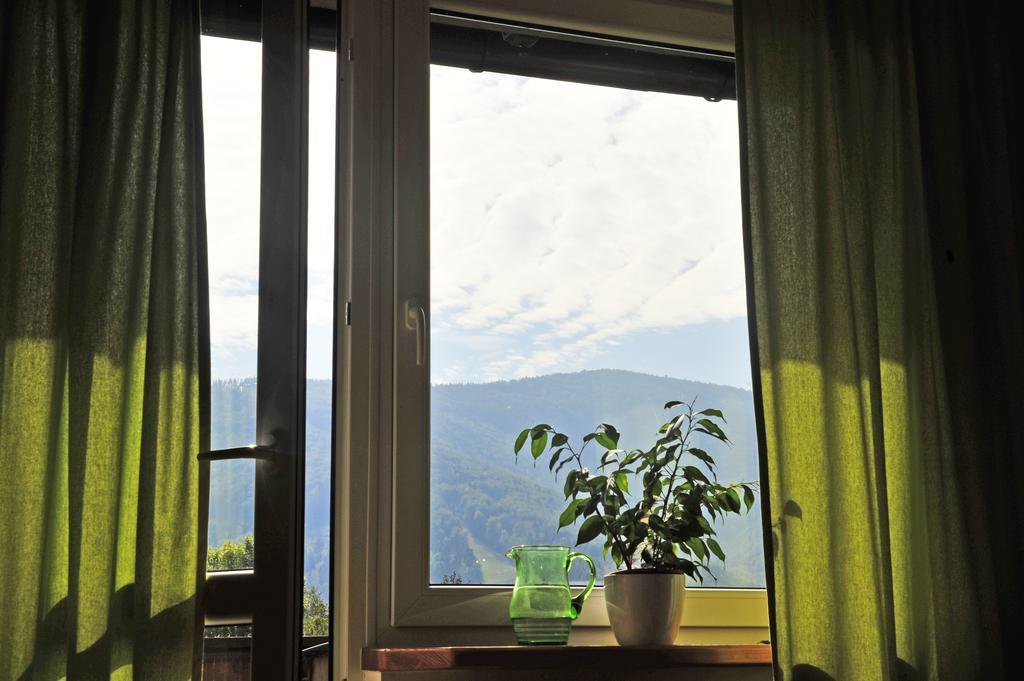 Pokoje Na Skalicy Ustron Oda fotoğraf