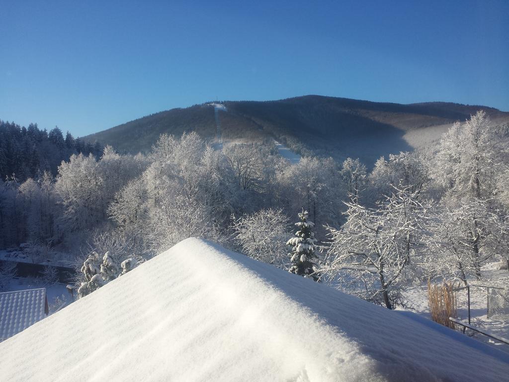Pokoje Na Skalicy Ustron Dış mekan fotoğraf